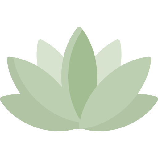 Emily Holistic Health